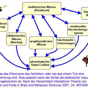 Tinnitus Zoloft - Ringing In Ears Symptom Of - Symptoms Of Tinnitus